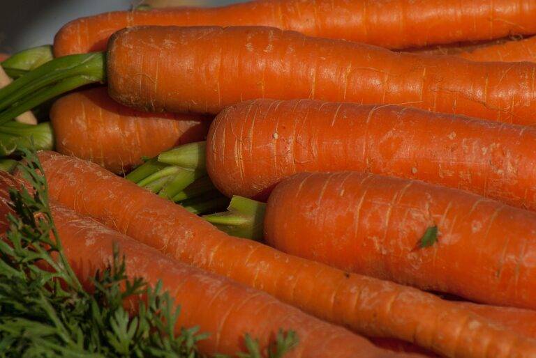 The Science of Food Sensory Perception