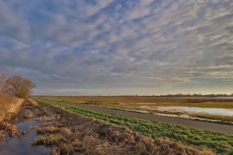 Travel and Art: Museums, Galleries, and Street Art