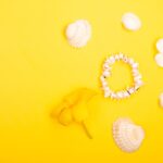 Reddybook Review: How This Platform Transforms Learning and Gaming with 11xplay Integration